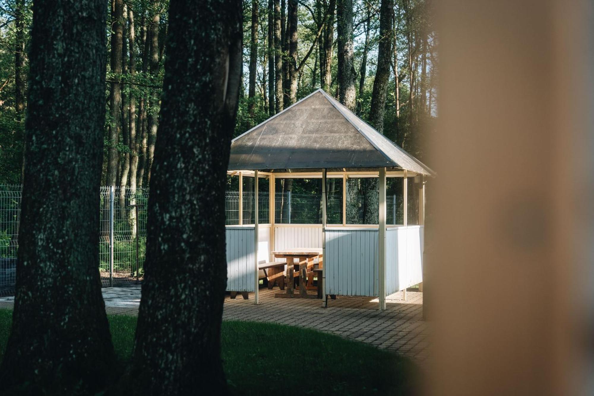 Nemirseta Forest Apartments 帕兰加 外观 照片