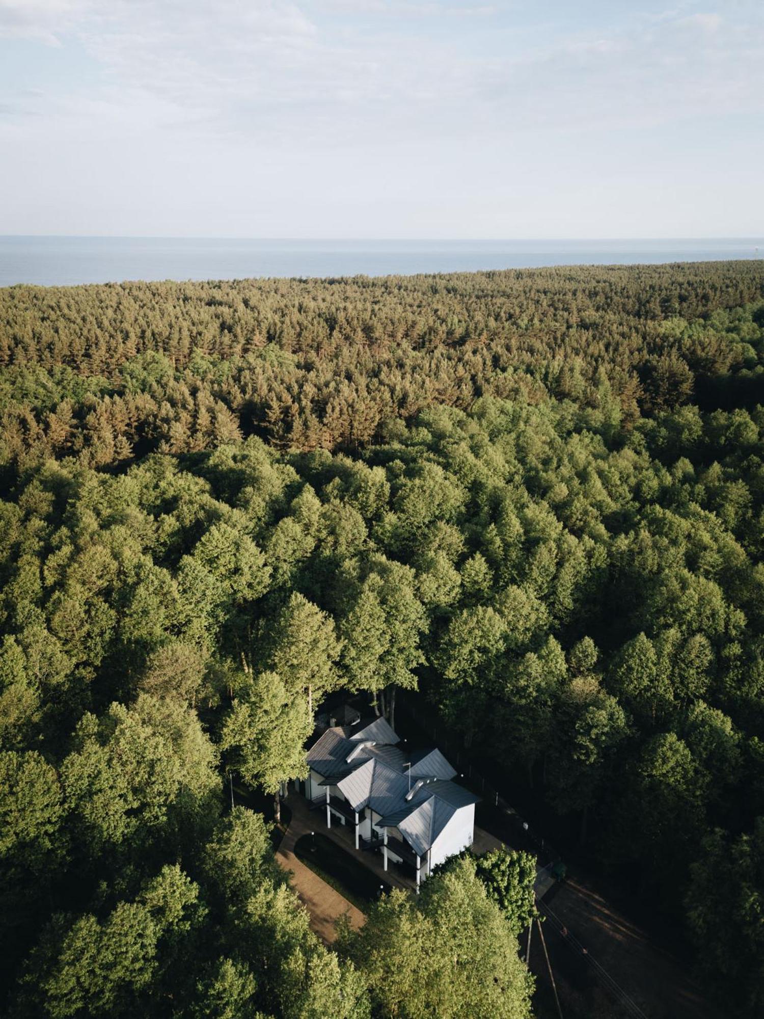 Nemirseta Forest Apartments 帕兰加 外观 照片